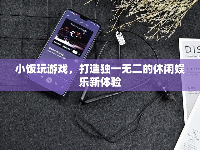 小飯游戲，打造個(gè)性化休閑娛樂新體驗(yàn)