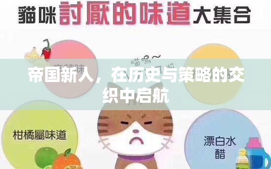 帝國新秀，在歷史與策略的波瀾中啟航