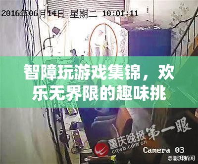 智障游戲大挑戰(zhàn)，歡樂無界限的趣味集錦