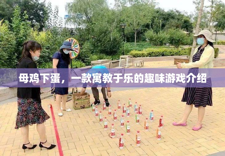 母雞下蛋，寓教于樂的趣味游戲體驗(yàn)