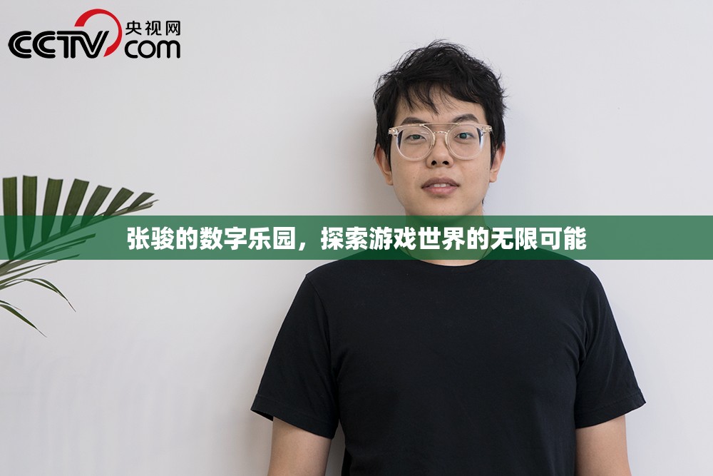 張駿的數(shù)字樂園，解鎖游戲世界的無限可能