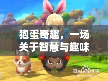 狍蛋奇趣，智慧與趣味的冒險(xiǎn)之旅
