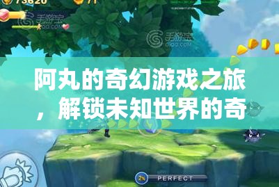 阿丸的奇幻游戲之旅，解鎖未知世界的奇妙冒險(xiǎn)