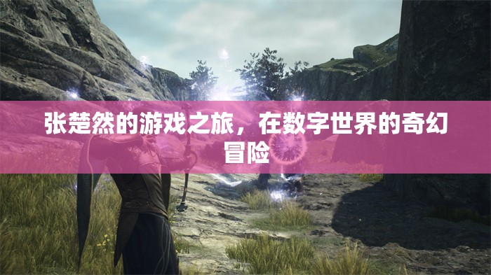 張楚然的數字奇幻冒險，游戲之旅