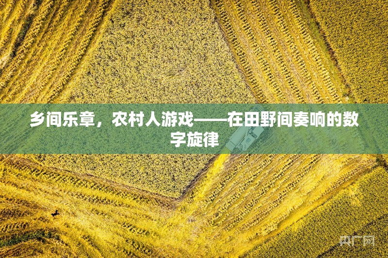 田野間的數(shù)字樂章，農(nóng)村人游戲與現(xiàn)代科技的和諧共舞