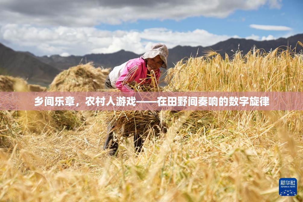 田野間的數(shù)字樂章，農(nóng)村人游戲與現(xiàn)代科技的和諧共舞