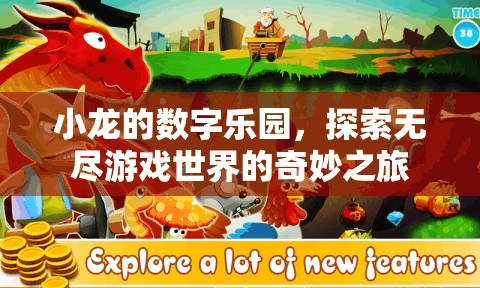 小龍的數(shù)字樂園，一場(chǎng)探索無盡游戲世界的奇妙之旅