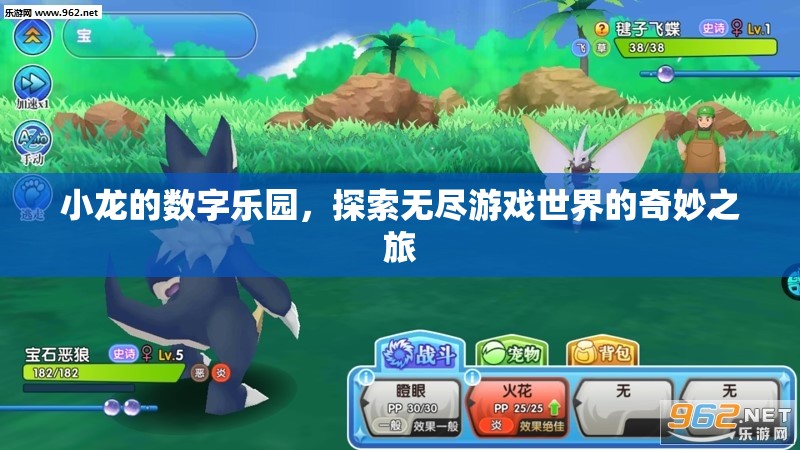 小龍的數(shù)字樂園，一場(chǎng)探索無盡游戲世界的奇妙之旅