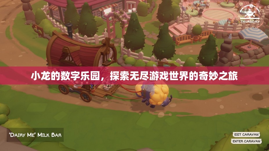 小龍的數(shù)字樂園，一場(chǎng)探索無盡游戲世界的奇妙之旅