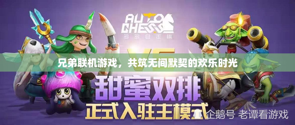 兄弟聯(lián)機(jī)游戲，共筑無間默契的歡樂時光