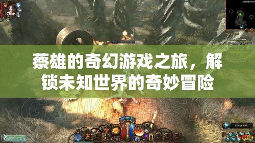 蔡雄的奇幻游戲，解鎖未知世界的奇妙冒險(xiǎn)