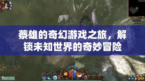 蔡雄的奇幻游戲，解鎖未知世界的奇妙冒險(xiǎn)