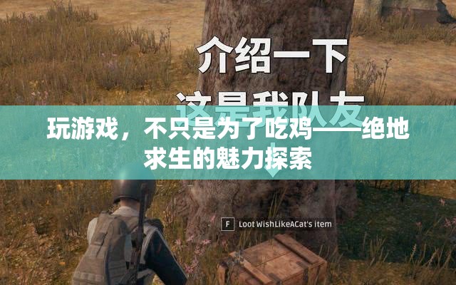 絕地求生，探索游戲背后的多重魅力