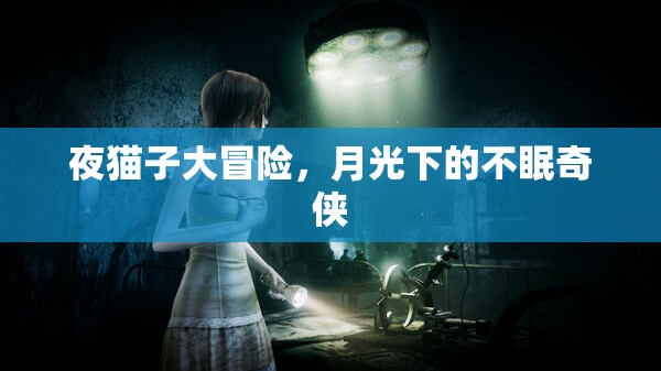 月光下的不眠奇?zhèn)b，夜貓子大冒險(xiǎn)