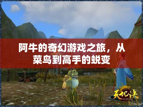 阿牛的奇幻游戲之旅，從菜鳥(niǎo)到高手的蛻變