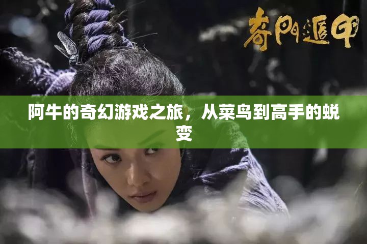 阿牛的奇幻游戲之旅，從菜鳥(niǎo)到高手的蛻變
