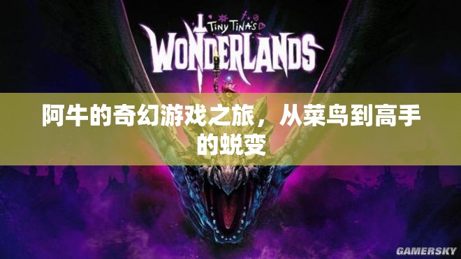 阿牛的奇幻游戲之旅，從菜鳥(niǎo)到高手的蛻變