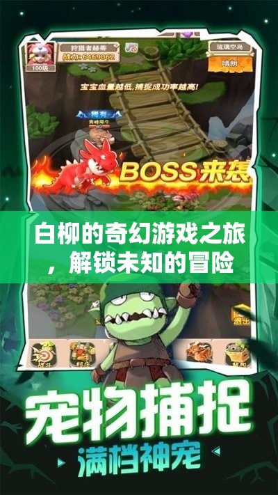 白柳的奇幻游戲，解鎖未知的冒險(xiǎn)
