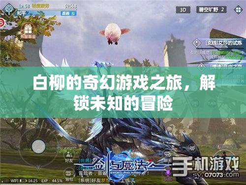 白柳的奇幻游戲，解鎖未知的冒險(xiǎn)