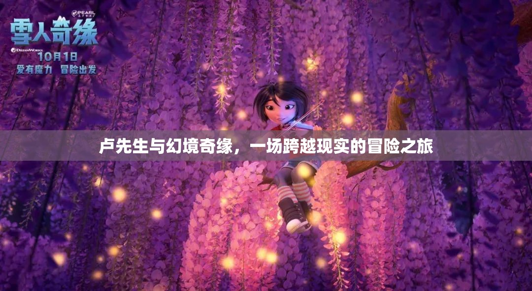 盧先生，幻境奇緣——跨越現(xiàn)實(shí)的冒險(xiǎn)之旅