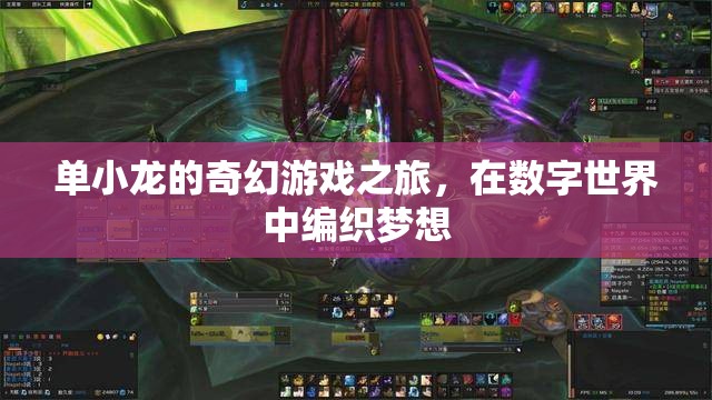 單小龍的數(shù)字夢境編織，一場奇幻游戲之旅
