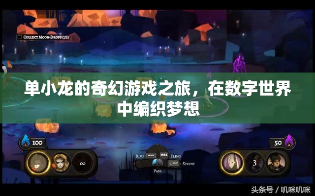 單小龍的數(shù)字夢境編織，一場奇幻游戲之旅