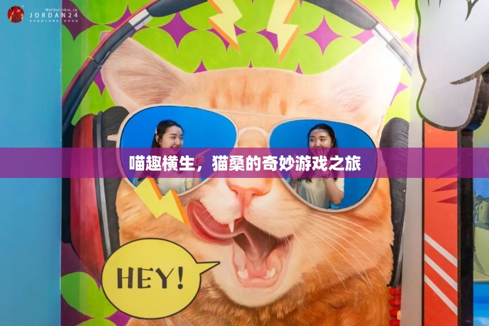 喵趣橫生，貓桑的奇妙游戲之旅