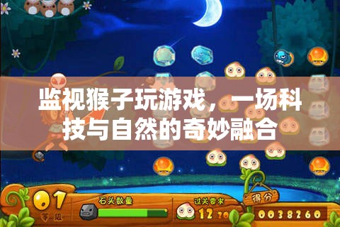 科技與自然的奇妙融合，監(jiān)視猴子玩游戲的奇妙實驗