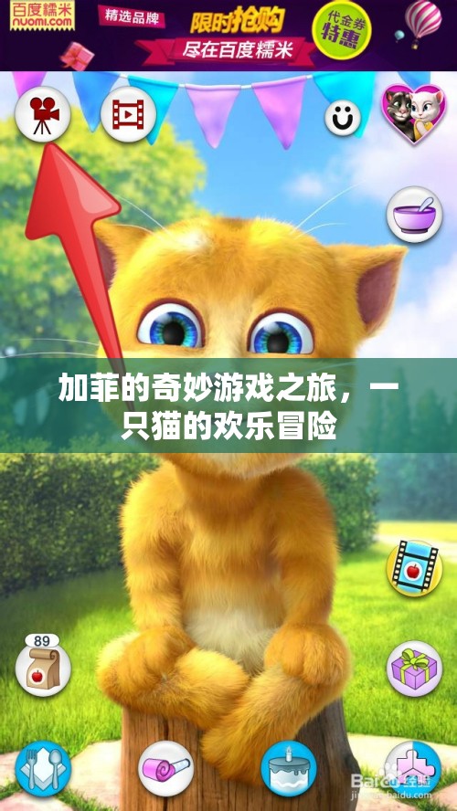 加菲貓的歡樂(lè)冒險(xiǎn)，奇妙游戲之旅