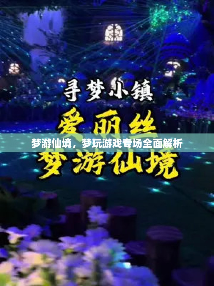 夢(mèng)游仙境，游戲?qū)?chǎng)深度解析與體驗(yàn)