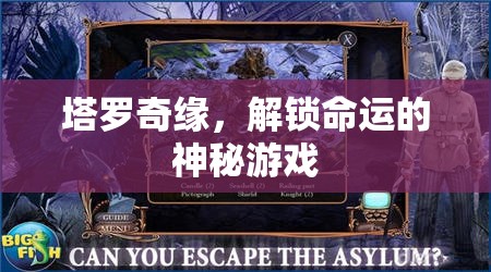 塔羅奇緣，解鎖命運之謎的神秘游戲