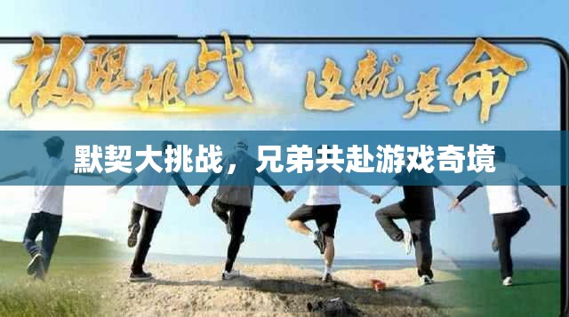 兄弟默契大挑戰(zhàn)，共赴游戲奇境