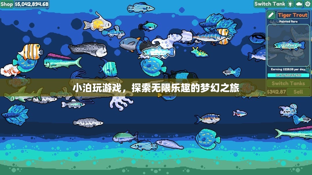 小泊的夢(mèng)幻游戲之旅，解鎖無限樂趣的探險(xiǎn)
