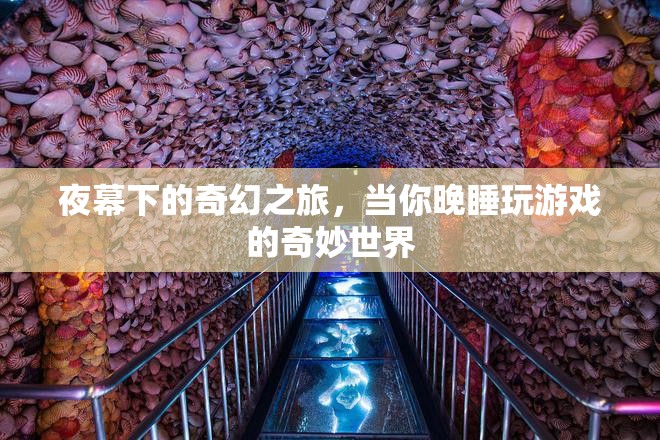 夜幕下的奇幻之旅，晚睡游戲中的奇妙世界
