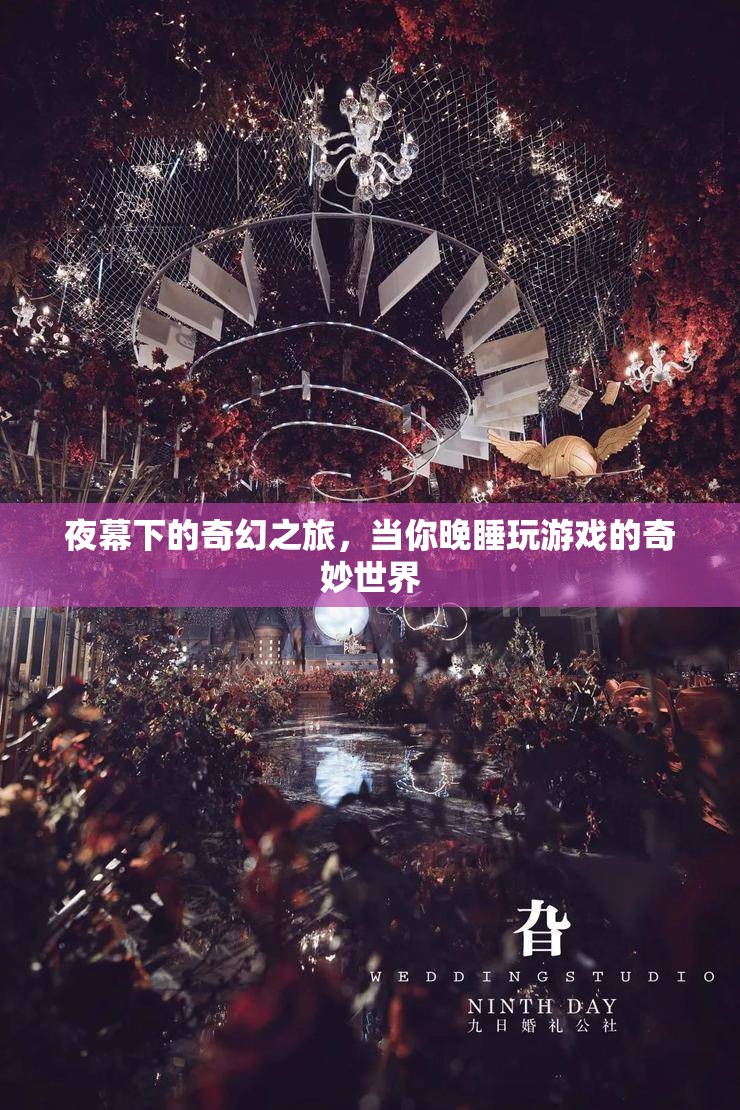 夜幕下的奇幻之旅，晚睡游戲中的奇妙世界