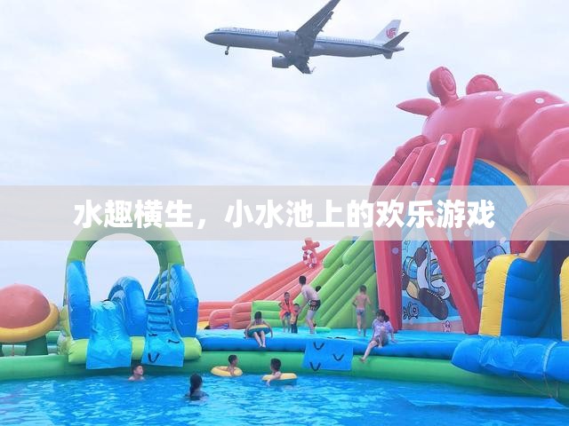小水池上的歡樂游戲，水趣橫生的夏日時光