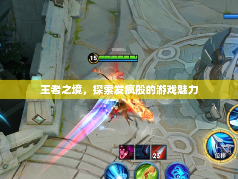 探索王者之境，發(fā)瘋般的游戲魅力