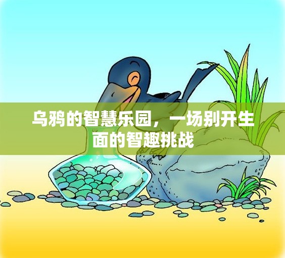 烏鴉的智慧樂園，一場別開生面的智趣挑戰(zhàn)