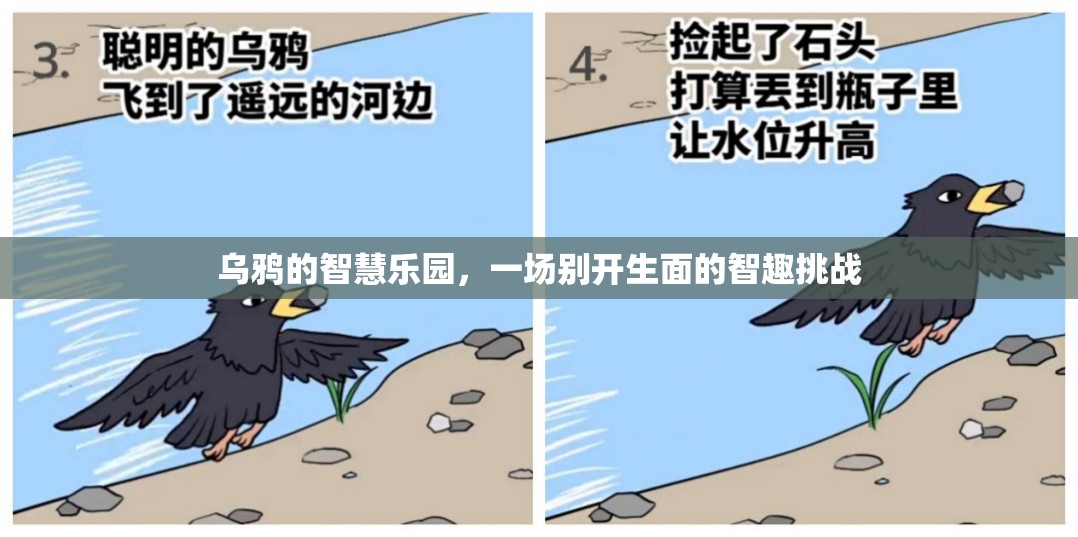 烏鴉的智慧樂園，一場別開生面的智趣挑戰(zhàn)