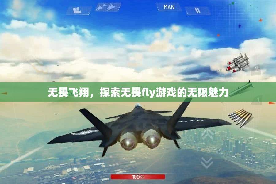 無畏飛翔，解鎖fly游戲的無限魅力之旅