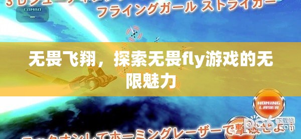 無畏飛翔，解鎖fly游戲的無限魅力之旅