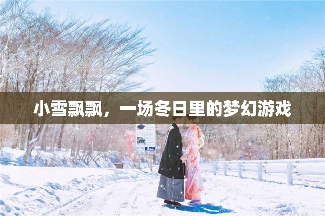 冬日夢幻，小雪飄飄的浪漫游戲