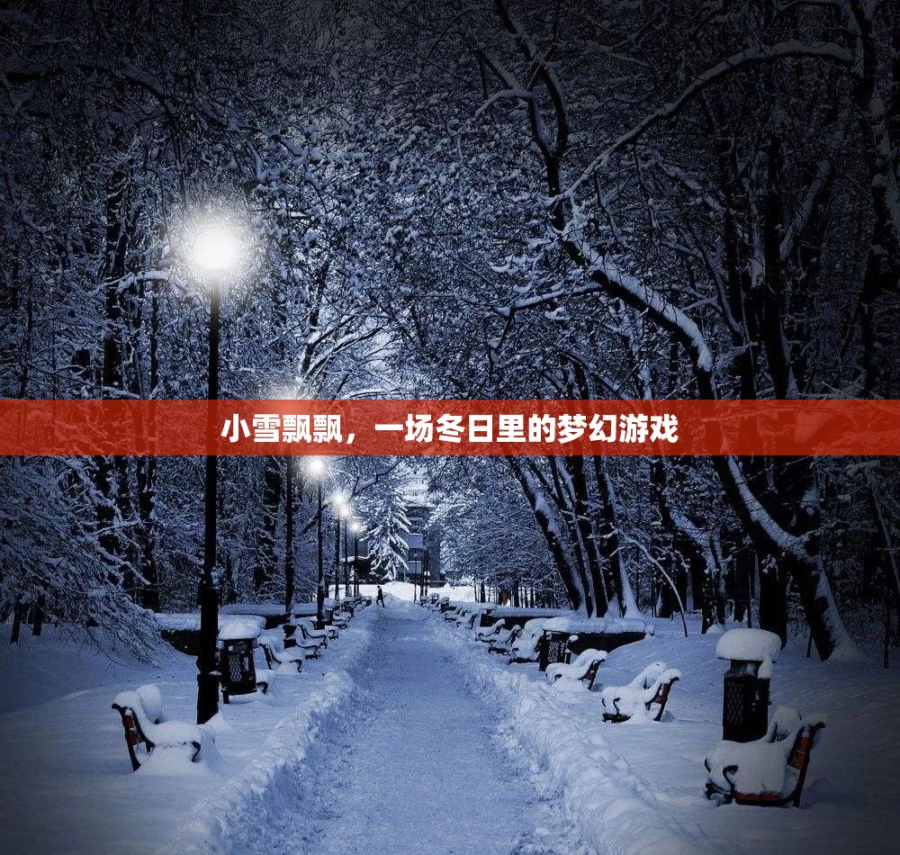 冬日夢幻，小雪飄飄的浪漫游戲