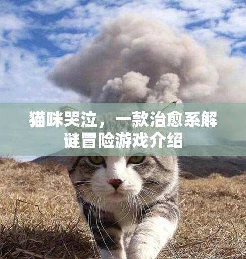 貓咪哭泣，治愈系解謎冒險(xiǎn)之旅