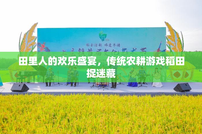 田里人的歡樂(lè)盛宴，傳統(tǒng)農(nóng)耕游戲稻田捉迷藏