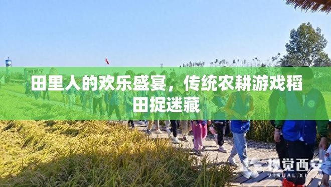田里人的歡樂(lè)盛宴，傳統(tǒng)農(nóng)耕游戲稻田捉迷藏