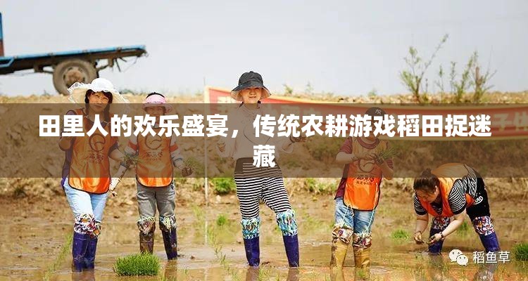 田里人的歡樂(lè)盛宴，傳統(tǒng)農(nóng)耕游戲稻田捉迷藏