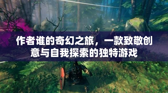 誰的奇幻之旅，創(chuàng)意與自我探索的獨(dú)特冒險(xiǎn)