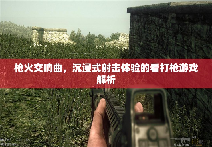 沉浸式射擊盛宴，解析槍火交響曲的看打槍游戲體驗(yàn)