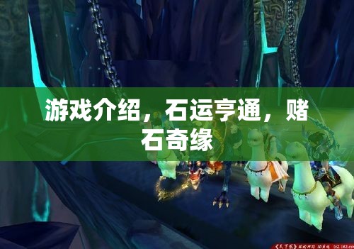 石運(yùn)亨通，探索賭石世界的奇妙之旅
